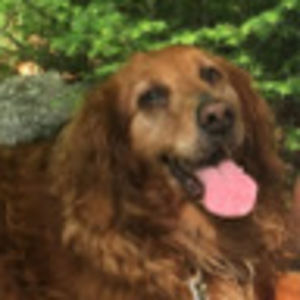 Meet your Posher, Brigid